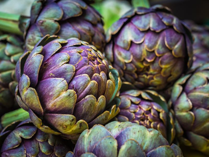 Seasonal vegetables fruit local sustainable artichoke